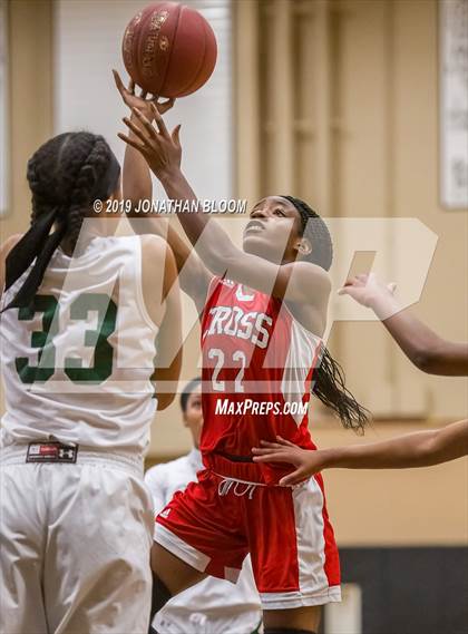 Thumbnail 1 in Wilbur Cross @ Weaver photogallery.