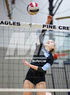 Photo from the gallery "Pueblo West @ Pine Creek"