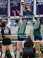 Photo from the gallery "Pueblo West @ Pine Creek"