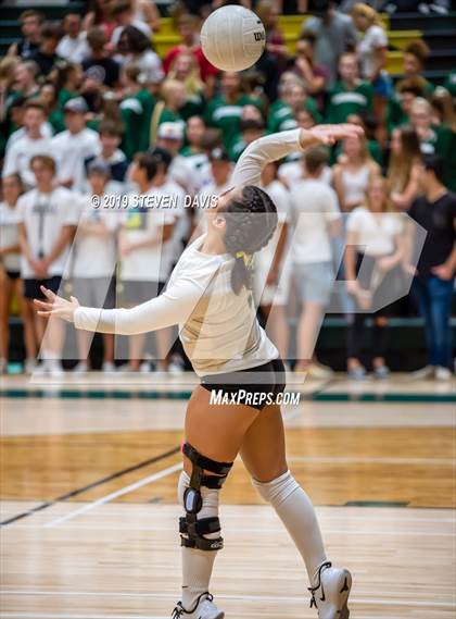 Thumbnail 3 in Hamilton vs Basha photogallery.