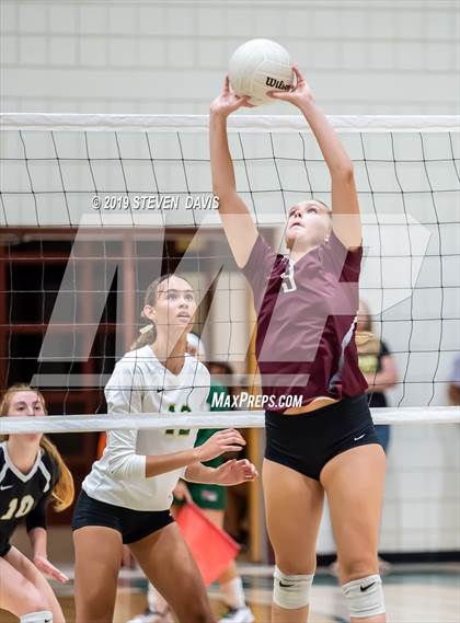 Thumbnail 2 in Hamilton vs Basha photogallery.