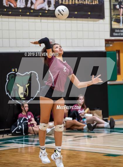 Thumbnail 3 in Hamilton vs Basha photogallery.