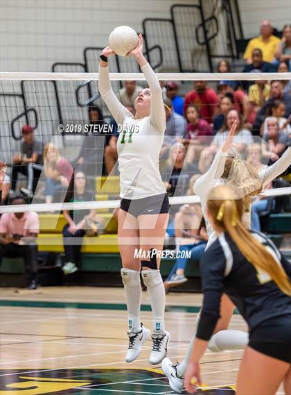 Thumbnail 1 in Hamilton vs Basha photogallery.
