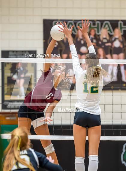 Thumbnail 3 in Hamilton vs Basha photogallery.