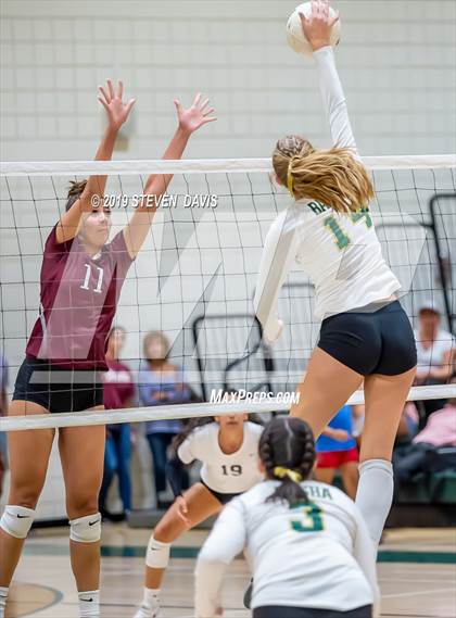 Thumbnail 1 in Hamilton vs Basha photogallery.