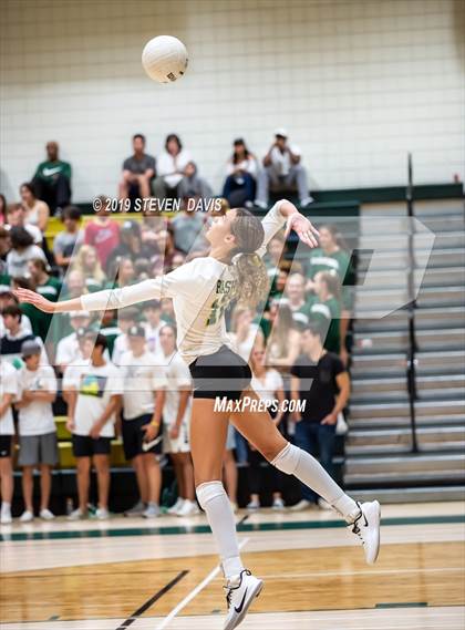 Thumbnail 1 in Hamilton vs Basha photogallery.