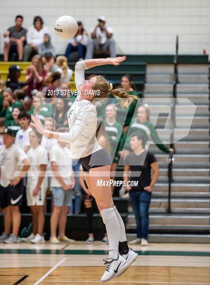 Thumbnail 3 in Hamilton vs Basha photogallery.