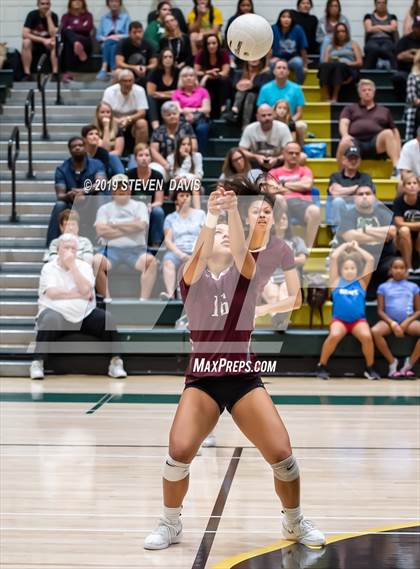 Thumbnail 2 in Hamilton vs Basha photogallery.