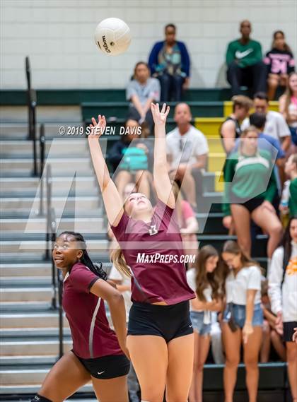 Thumbnail 1 in Hamilton vs Basha photogallery.
