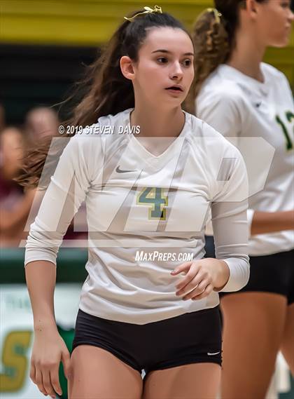 Thumbnail 1 in Hamilton vs Basha photogallery.