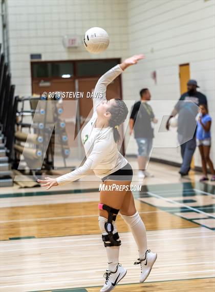 Thumbnail 2 in Hamilton vs Basha photogallery.