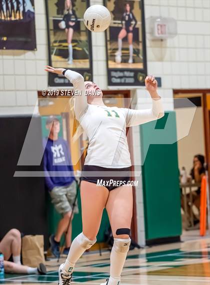 Thumbnail 1 in Hamilton vs Basha photogallery.