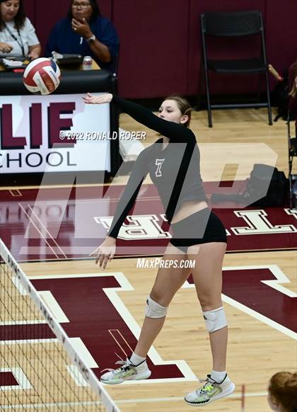 Thumbnail 3 in Sachse @ Wylie photogallery.