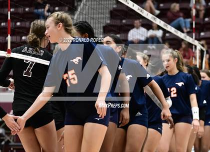 Thumbnail 2 in Sachse @ Wylie photogallery.