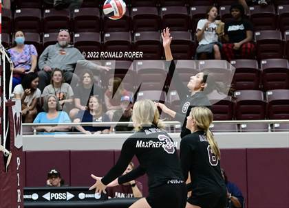 Thumbnail 1 in Sachse @ Wylie photogallery.