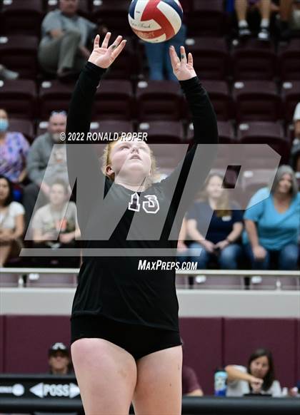 Thumbnail 3 in Sachse @ Wylie photogallery.