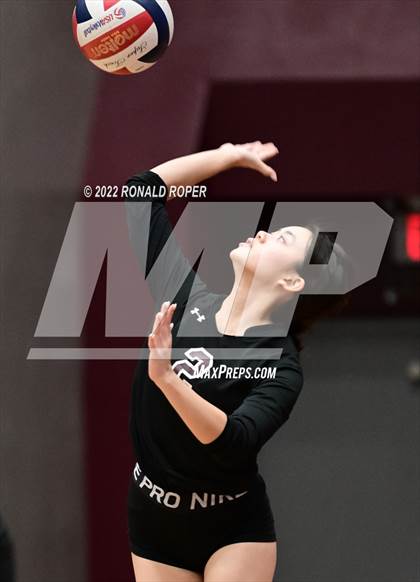 Thumbnail 3 in Sachse @ Wylie photogallery.