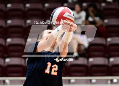 Thumbnail 3 in Sachse @ Wylie photogallery.