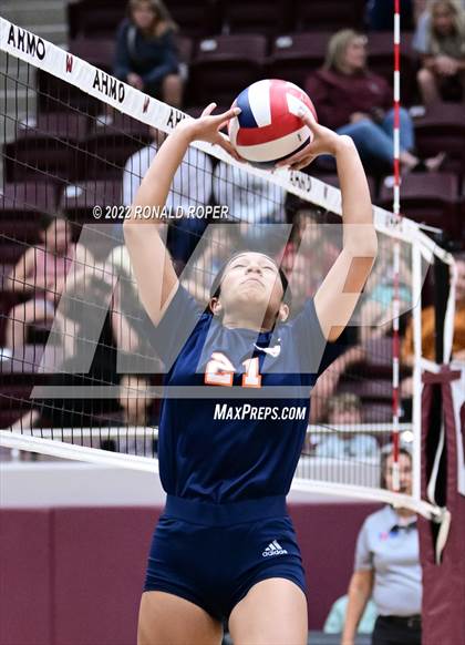 Thumbnail 3 in Sachse @ Wylie photogallery.