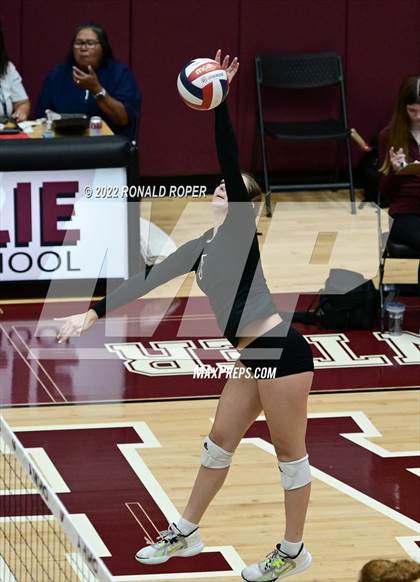 Thumbnail 2 in Sachse @ Wylie photogallery.