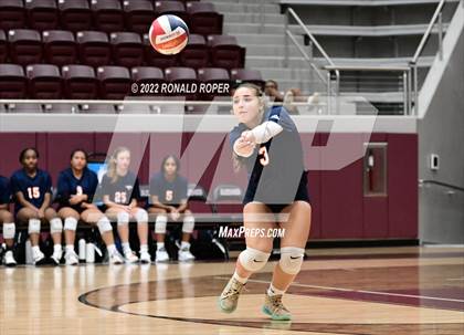 Thumbnail 1 in Sachse @ Wylie photogallery.