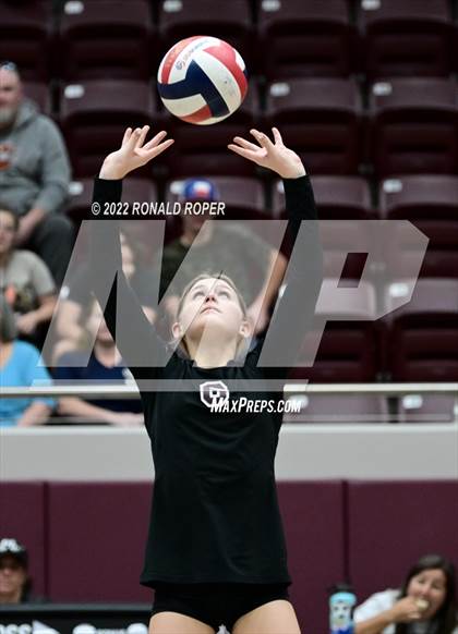 Thumbnail 1 in Sachse @ Wylie photogallery.
