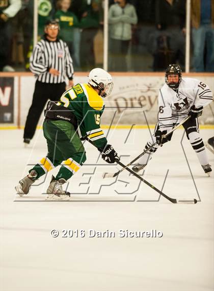 Thumbnail 3 in Horizon vs Hamilton (AHSHA Final) photogallery.