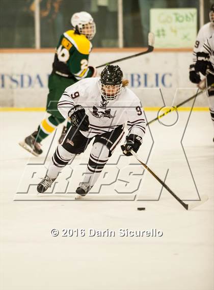 Thumbnail 3 in Horizon vs Hamilton (AHSHA Final) photogallery.