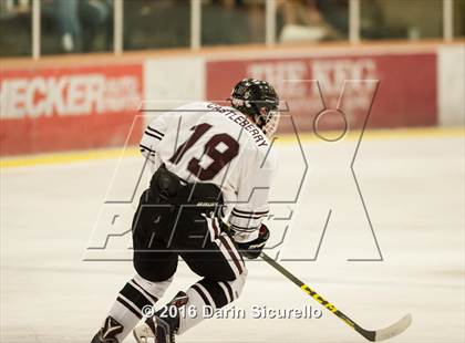 Thumbnail 1 in Horizon vs Hamilton (AHSHA Final) photogallery.