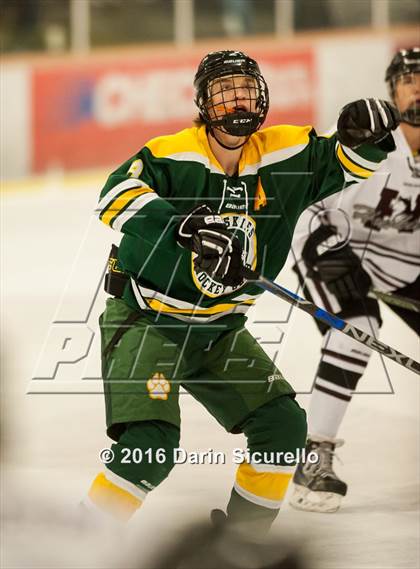 Thumbnail 1 in Horizon vs Hamilton (AHSHA Final) photogallery.