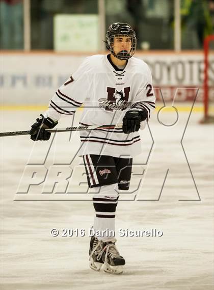 Thumbnail 3 in Horizon vs Hamilton (AHSHA Final) photogallery.