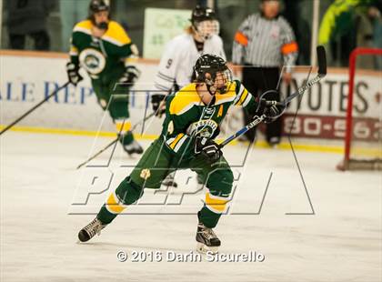 Thumbnail 1 in Horizon vs Hamilton (AHSHA Final) photogallery.