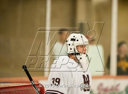 Thumbnail 1 in Horizon vs Hamilton (AHSHA Final) photogallery.