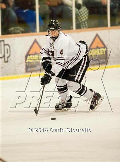 Thumbnail 2 in Horizon vs Hamilton (AHSHA Final) photogallery.