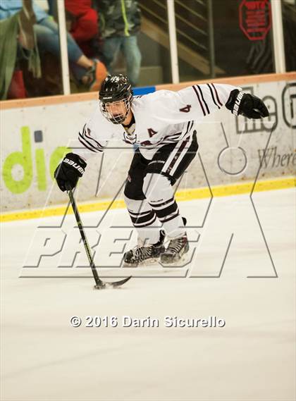 Thumbnail 1 in Horizon vs Hamilton (AHSHA Final) photogallery.