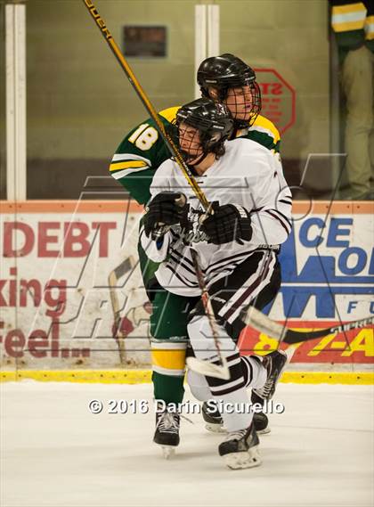 Thumbnail 2 in Horizon vs Hamilton (AHSHA Final) photogallery.