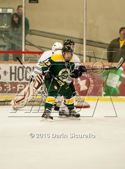 Thumbnail 1 in Horizon vs Hamilton (AHSHA Final) photogallery.