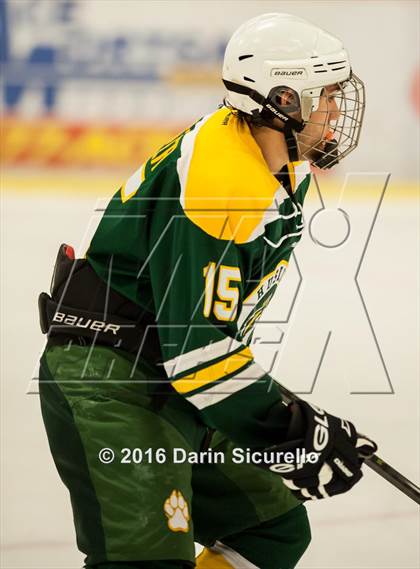 Thumbnail 2 in Horizon vs Hamilton (AHSHA Final) photogallery.