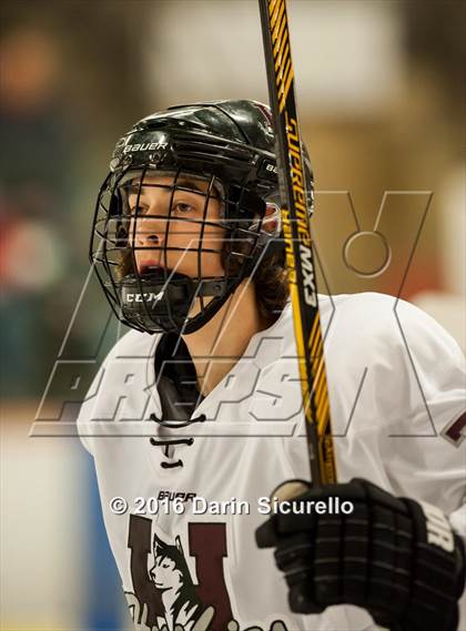 Thumbnail 3 in Horizon vs Hamilton (AHSHA Final) photogallery.
