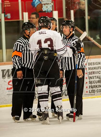 Thumbnail 3 in Horizon vs Hamilton (AHSHA Final) photogallery.