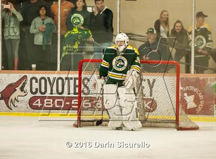 Thumbnail 1 in Horizon vs Hamilton (AHSHA Final) photogallery.