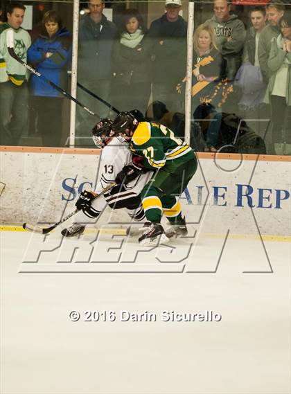 Thumbnail 1 in Horizon vs Hamilton (AHSHA Final) photogallery.
