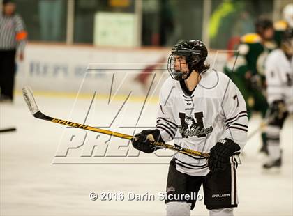 Thumbnail 2 in Horizon vs Hamilton (AHSHA Final) photogallery.