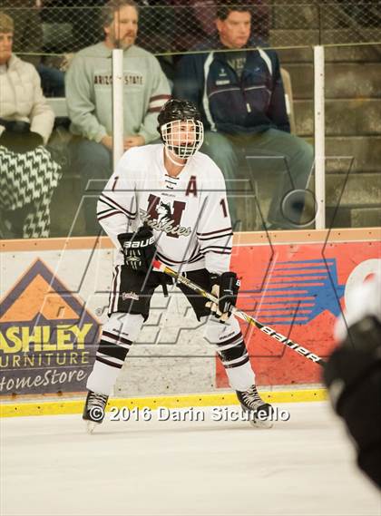 Thumbnail 1 in Horizon vs Hamilton (AHSHA Final) photogallery.
