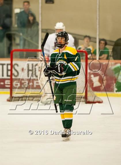 Thumbnail 2 in Horizon vs Hamilton (AHSHA Final) photogallery.