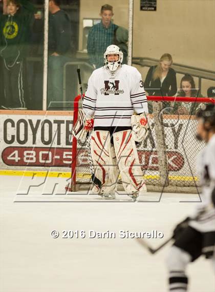 Thumbnail 2 in Horizon vs Hamilton (AHSHA Final) photogallery.