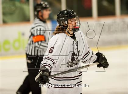 Thumbnail 2 in Horizon vs Hamilton (AHSHA Final) photogallery.
