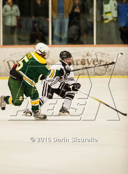 Thumbnail 2 in Horizon vs Hamilton (AHSHA Final) photogallery.