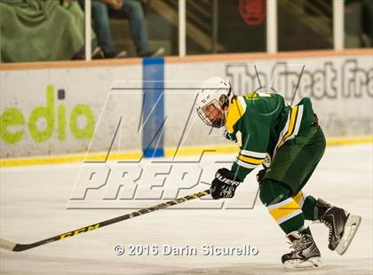 Thumbnail 2 in Horizon vs Hamilton (AHSHA Final) photogallery.