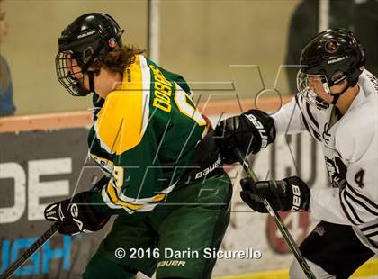 Thumbnail 2 in Horizon vs Hamilton (AHSHA Final) photogallery.